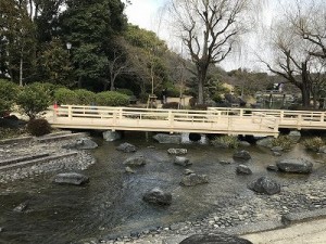 日本庭園 (8)